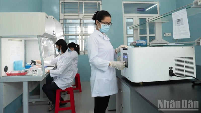Hướng đi bền vững cho sản xuất tôm giống Khánh Hòa Hướng đi bền vững cho sản xuất tôm giống Khánh Hòa