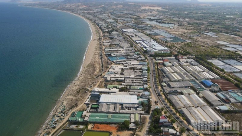 Hướng đi bền vững cho sản xuất tôm giống Khánh Hòa Hướng đi bền vững cho sản xuất tôm giống Khánh Hòa