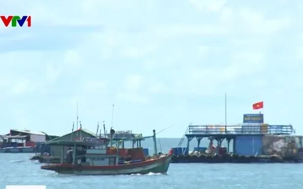 Hướng tới gỡ thẻ vàng IUU trong năm nay Hướng tới gỡ thẻ vàng IUU trong năm nay