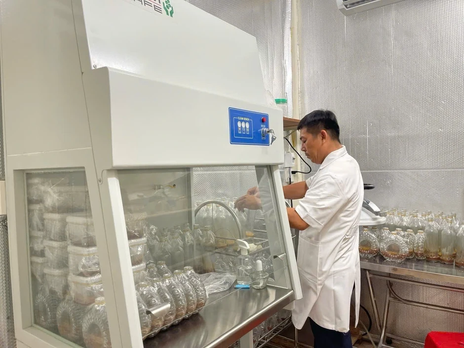 Kỹ sư xây dựng làm nông nghiệp công nghệ cao với mô hình trồng dưa lưới Kỹ sư xây dựng làm nông nghiệp công nghệ cao với mô hình trồng dưa lưới