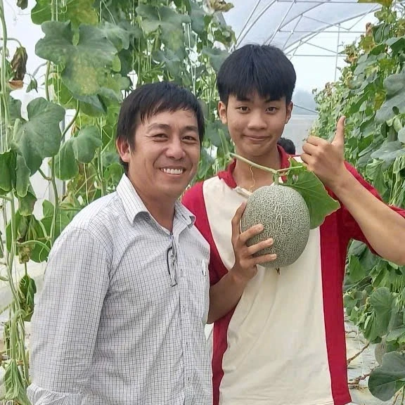 Kỹ sư xây dựng làm nông nghiệp công nghệ cao với mô hình trồng dưa lưới Kỹ sư xây dựng làm nông nghiệp công nghệ cao với mô hình trồng dưa lưới