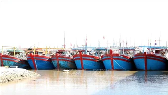 Khắc phục 'thẻ vàng' IUU: Ninh Bình không còn tàu cá '3 không'