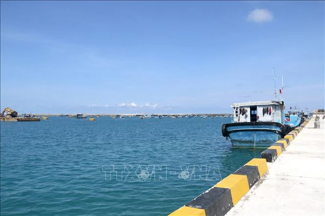 Khắc phục 'thẻ vàng' IUU: Thiết lập 2 điểm lên cá tạm tại Phú Quý Khắc phục 'thẻ vàng' IUU: Thiết lập 2 điểm lên cá tạm tại Phú Quý