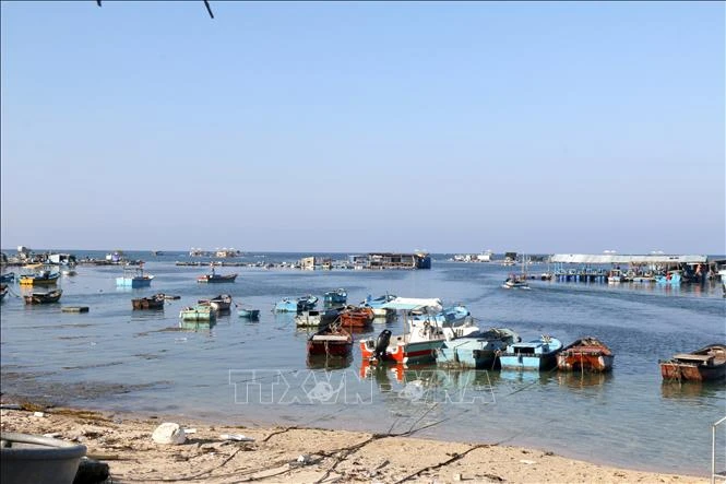Khắc phục 'thẻ vàng' IUU: Thiết lập 2 điểm lên cá tạm tại Phú Quý Khắc phục 'thẻ vàng' IUU: Thiết lập 2 điểm lên cá tạm tại Phú Quý