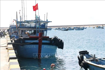 Khắc phục 'thẻ vàng'&nbsp;IUU: Thiết lập 2 điểm lên cá tạm tại Phú Quý