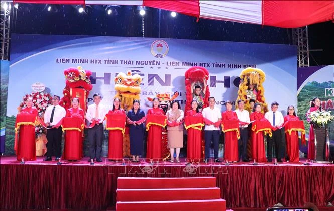 Khai mạc phiên chợ OCOP thúc đẩy phát triển kinh tế hợp tác