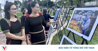 Khai mạc triển lãm ảnh về trồng, chăm sóc và sản xuất sầu riêng ở Đắk Lắk
