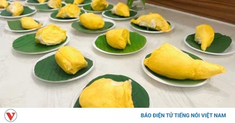 Khai mạc “Tuần lễ buffet sầu riêng Cần Thơ năm 2026”