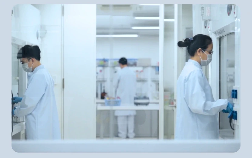 Khám phá quy trình sản xuất mì ăn liền tại Acecook Việt Nam Khám phá quy trình sản xuất mì ăn liền tại Acecook Việt Nam