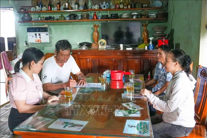 Khẩn trương khống chế ổ dịch lở mồm long móng trên đàn gia súc