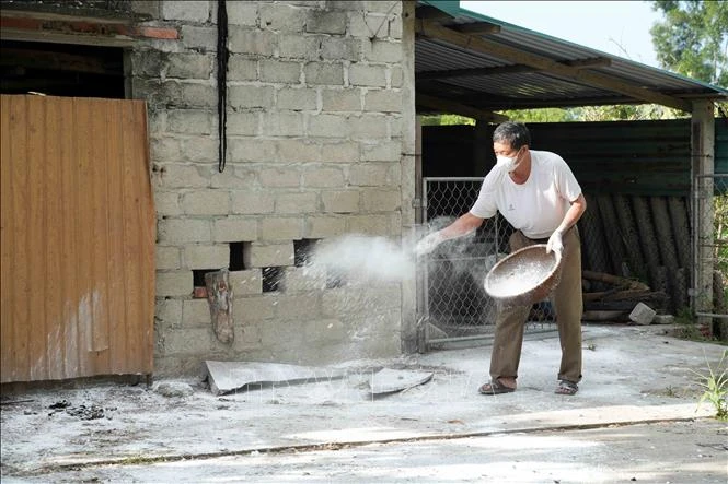 Khẩn trương khống chế ổ dịch lở mồm long móng trên đàn gia súc