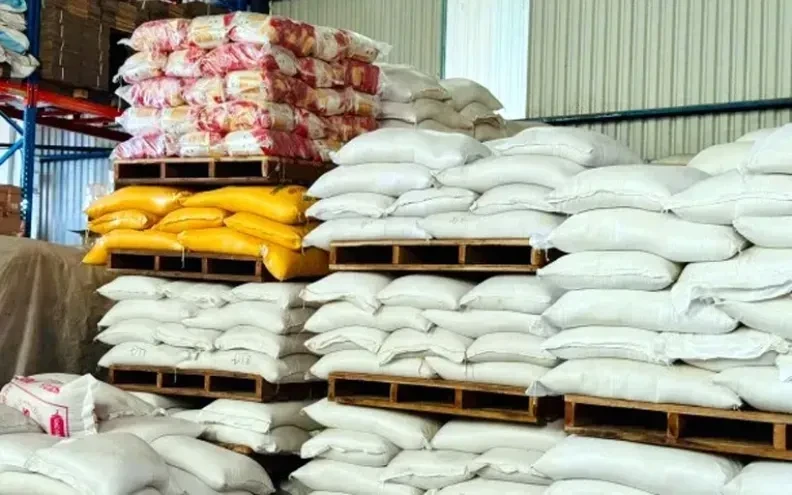 Khẩn trương nhập kho gạo dự trữ quốc gia năm 2026 Khẩn trương nhập kho gạo dự trữ quốc gia năm 2026