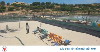 Khánh Hòa lập tổ công tác đặc biệt gỡ vướng mặt bằng các dự án điện hạt nhân