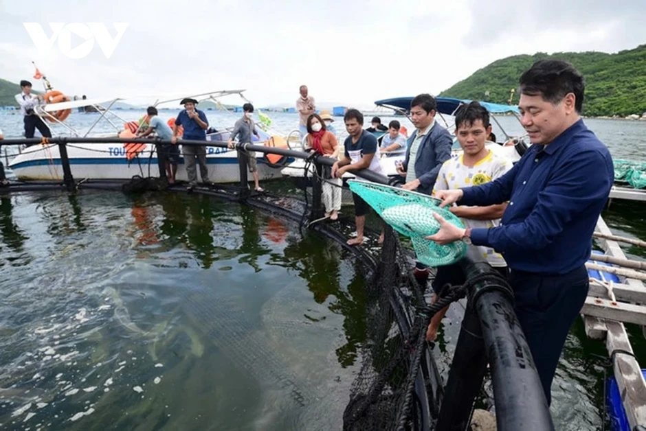 Khánh Hòa mở hướng nuôi biển, phát triển nghề cá bền vững Khánh Hòa mở hướng nuôi biển, phát triển nghề cá bền vững