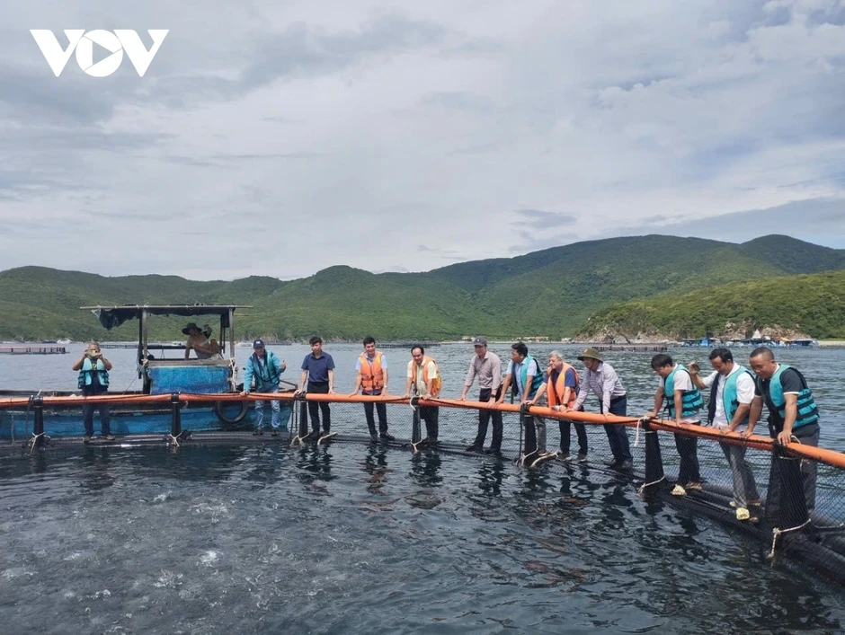 Khánh Hòa mở hướng nuôi biển, phát triển nghề cá bền vững Khánh Hòa mở hướng nuôi biển, phát triển nghề cá bền vững