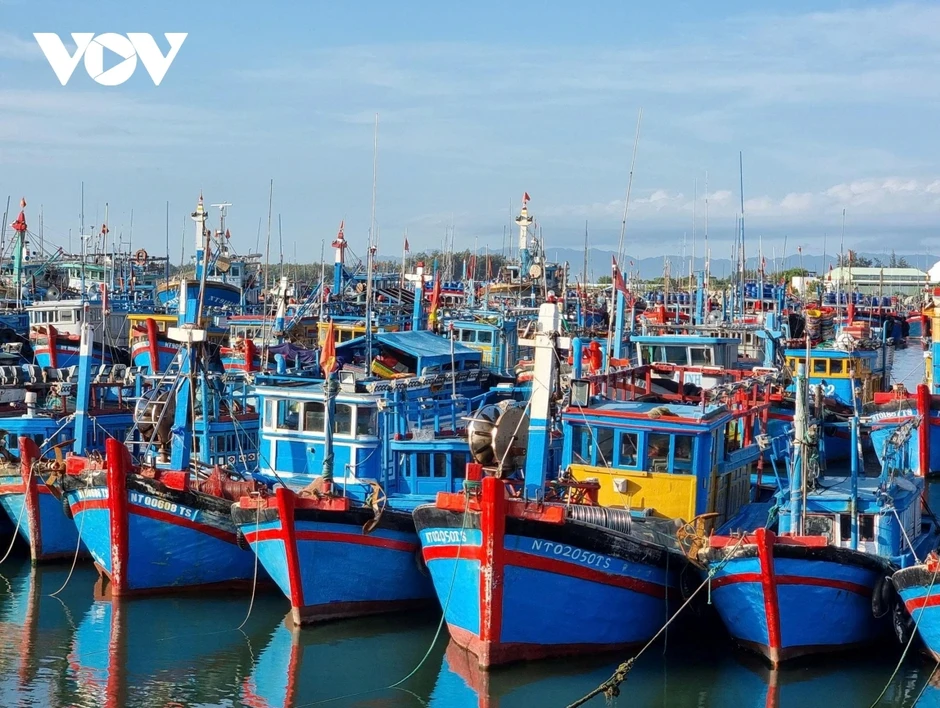 Khánh Hòa mở hướng nuôi biển, phát triển nghề cá bền vững Khánh Hòa mở hướng nuôi biển, phát triển nghề cá bền vững