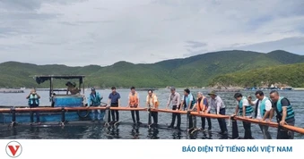 Khánh Hòa mở hướng nuôi biển, phát triển nghề cá bền vững