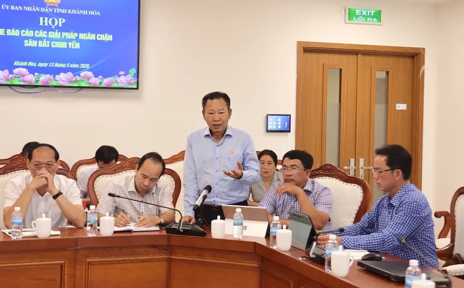 Khánh Hòa: Quyết liệt ngăn chặn tình trạng săn bắt chim yến trái phép