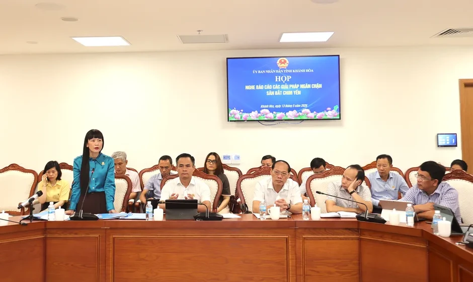 Khánh Hòa: Quyết liệt ngăn chặn tình trạng săn bắt chim yến trái phép