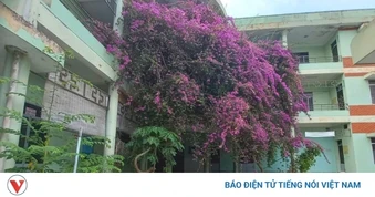 Khánh Hòa rà soát, sắp xếp trụ sở dôi dư: Không để tài sản công bị lãng phí