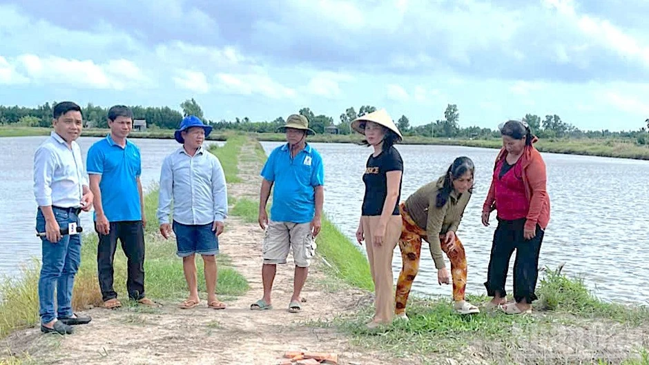 Khi lời hứa “nông nghiệp sạch” hóa thành gánh nặng công nợ Khi lời hứa “nông nghiệp sạch” hóa thành gánh nặng công nợ