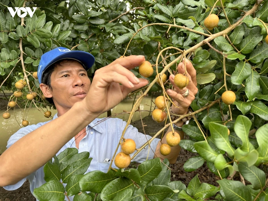 Khi phòng vệ thương mại trở thành xu thế toàn cầu Khi phòng vệ thương mại trở thành xu thế toàn cầu