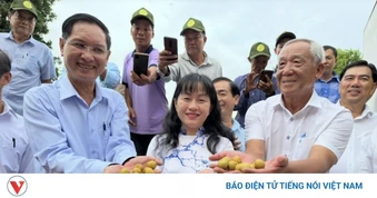 Khi phòng vệ thương mại trở thành xu thế toàn cầu