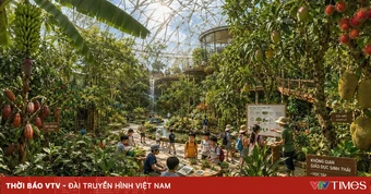 Khi thiên nhiên trở thành lớp học cho trẻ giữa lòng TP Hồ Chí Minh