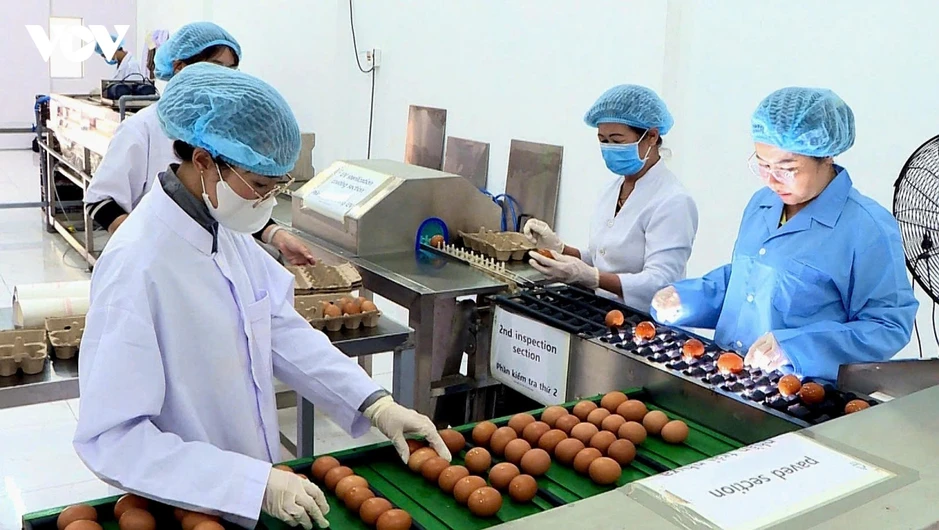Khoa học, công nghệ tạo sức bật tăng trưởng cho Lâm Đồng Khoa học, công nghệ tạo sức bật tăng trưởng cho Lâm Đồng
