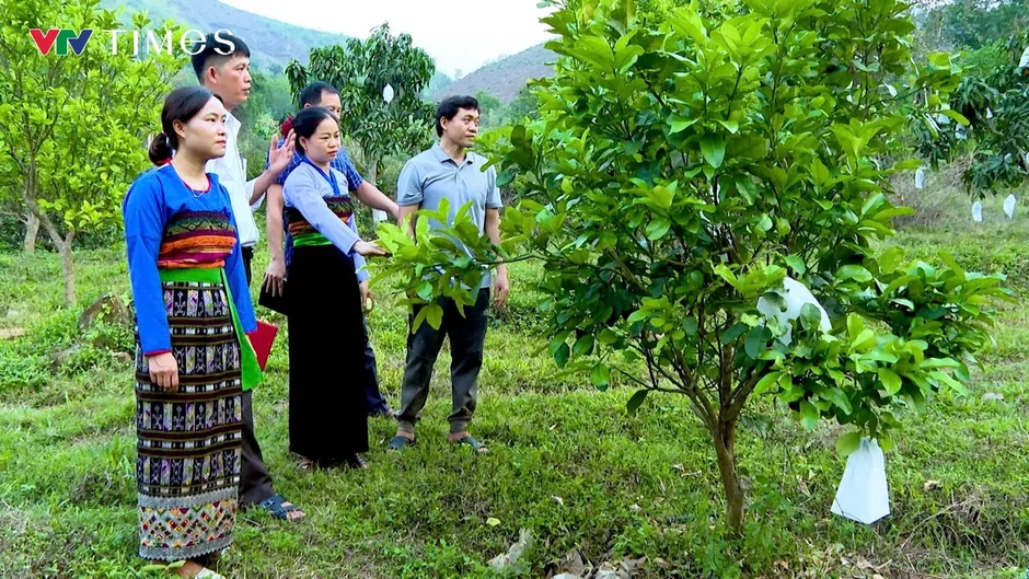 Khơi dậy sức mạnh đại đoàn kết, tạo động lực phát triển nơi miền biên viễn Quang Chiểu