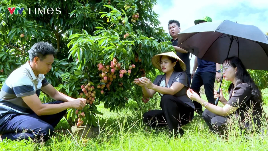 Khơi dậy sức mạnh đại đoàn kết, tạo động lực phát triển nơi miền biên viễn Quang Chiểu