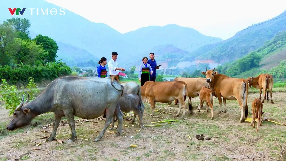 Khơi dậy sức mạnh đại đoàn kết, tạo động lực phát triển nơi miền biên viễn Quang Chiểu