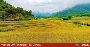 Khơi dậy sức mạnh đại đoàn kết, tạo động lực phát triển nơi miền biên viễn Quang Chiểu