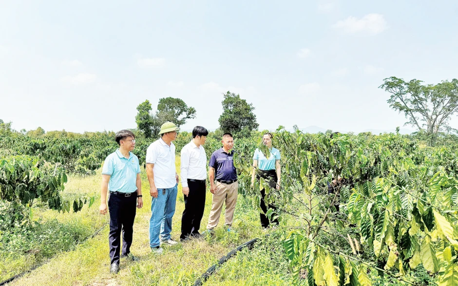 Khơi mạch tín dụng cho nền nông nghiệp hiện đại Khơi mạch tín dụng cho nền nông nghiệp hiện đại