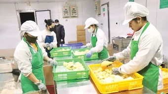 Khơi mạch tín dụng cho nền nông nghiệp hiện đại