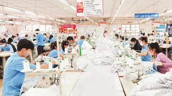 Khởi sắc thị trường dệt may