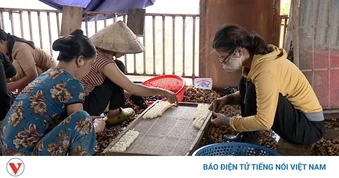 Khơi thông “mạch vốn” cho khu vực kinh tế tập thể