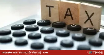 Không đăng ký hộ kinh doanh vẫn phải đăng ký thuế
