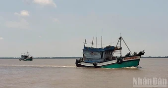 Không để tàu cá chưa đủ điều kiện ra khơi