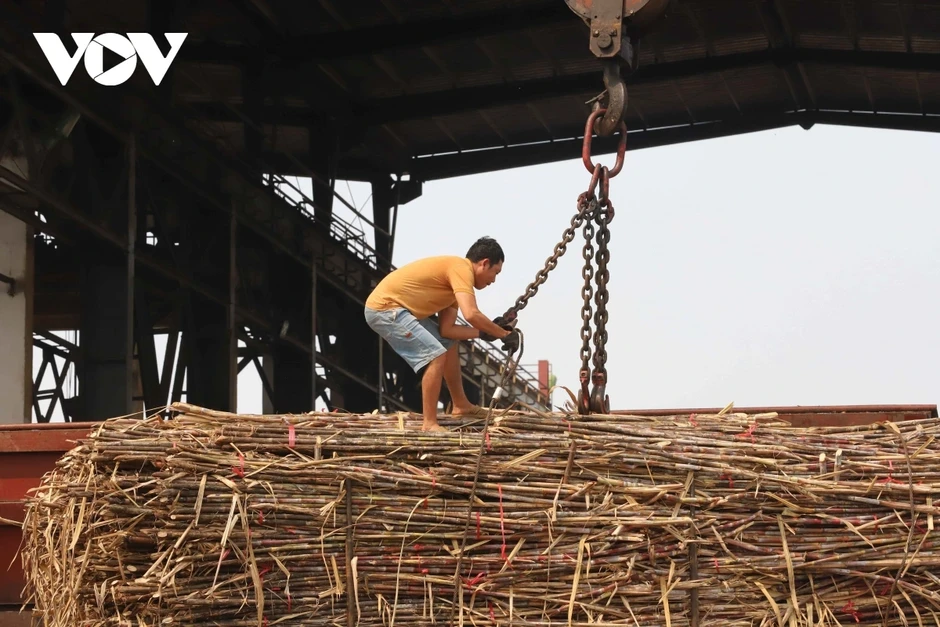 Không nghỉ lễ – giữ dòng ngọt cho sản xuất Không nghỉ lễ – giữ dòng ngọt cho sản xuất