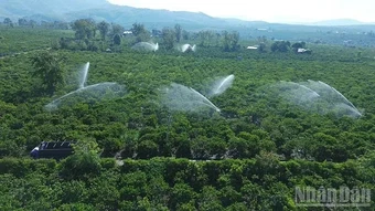 Khu vực miền trung và Tây Nguyên: Chủ động chống hạn cho cây trồng