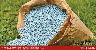 Khủng hoảng kép đẩy giá phân bón châu Âu leo thang