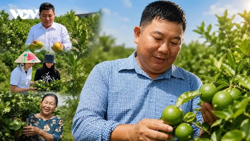 Kích hoạt thị trường, khơi sức doanh nghiệp tư nhân Kích hoạt thị trường, khơi sức doanh nghiệp tư nhân