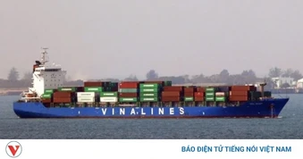 Kiến nghị hỗ trợ tàu biển Việt Nam qua eo Hormuz, giữ ổn định giá cước vận tải
