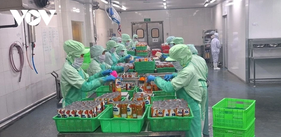 Kim ngạch thương mại Việt Nam và Malaysia phấn đấu đạt 25 tỷ USD năm 2030 Kim ngạch thương mại Việt Nam và Malaysia phấn đấu đạt 25 tỷ USD năm 2030