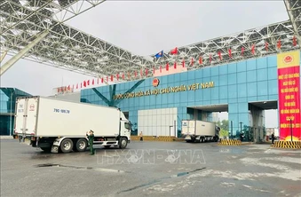 Kim ngạch xuất nhập khẩu qua Cửa khẩu quốc tế Móng Cái đạt hơn 6,2 tỷ USD