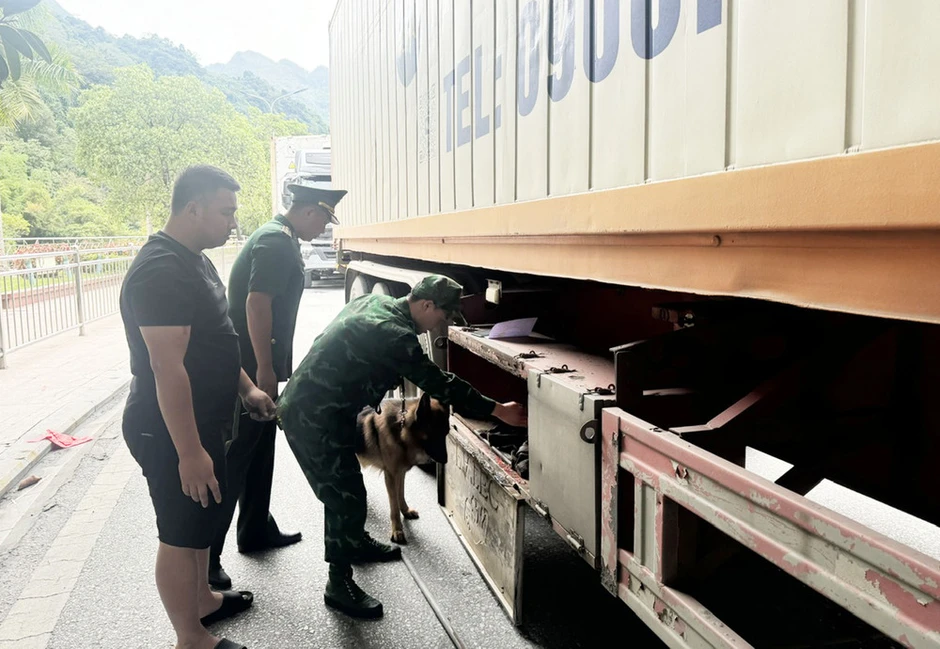 Kim ngạch xuất, nhập khẩu qua Cửa khẩu quốc tế Thanh Thủy đạt hơn 323 triệu USD Kim ngạch xuất, nhập khẩu qua Cửa khẩu quốc tế Thanh Thủy đạt hơn 323 triệu USD