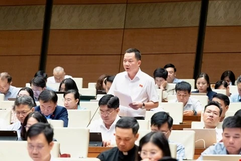 Kinh doanh kim cương cần được bổ sung vào ngành nghề kinh doanh có điều kiện