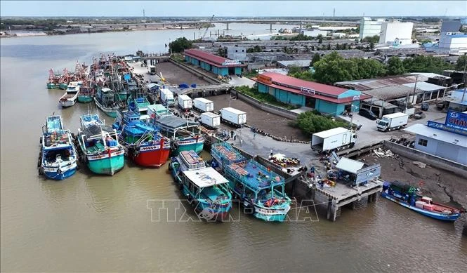 Kinh tế biển mở đường cho Cà Mau tăng trưởng Kinh tế biển mở đường cho Cà Mau tăng trưởng