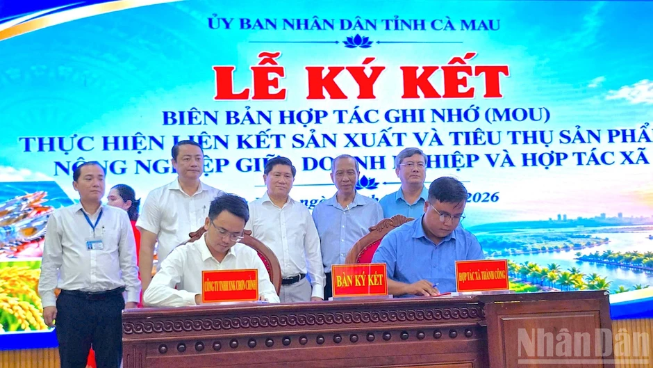 Kinh tế tập thể Cà Mau trước yêu cầu làm mới chính mình